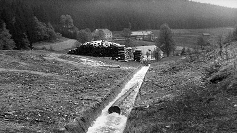 Hledání ztraceného času - Dřevo v pohybu