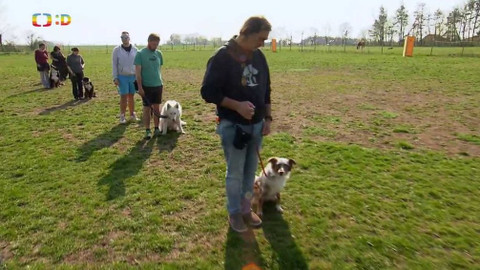 Terčin zvířecí svět - 11. června 2021