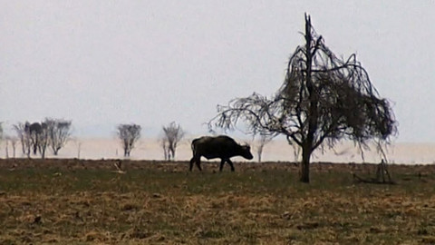 Cestománie - Tanzánie