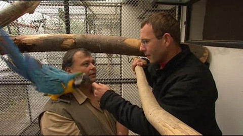 Mezi námi zvířaty - 11. října 2008