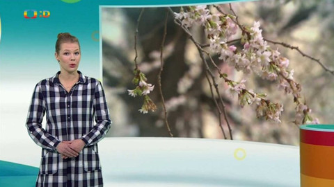 Zprávičky - 9. ledna 2018