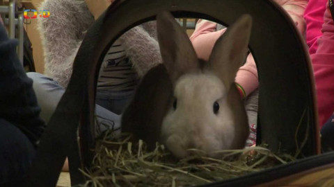 Zprávičky - 7. února 2020