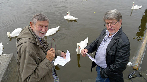 Třistatřicettři - Chvála pomalosti