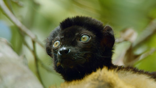 Andy a cesta kolem světa