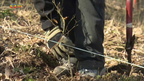 Zprávičky - 8. dubna 2020