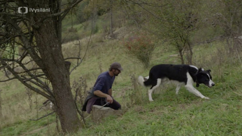 Do divočiny! - 5. Vlci a lidé