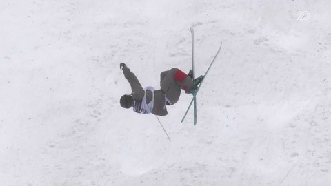 Světový pohár ve freestyle lyžování - SP Japonsko