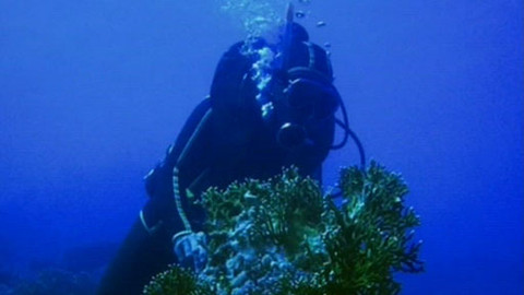 Zapomenuté výpravy - Expedice Korál