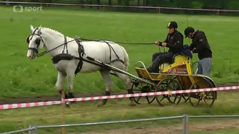 Jezdectví - Mezinárodní závody jezdeckých spřežení Němčice