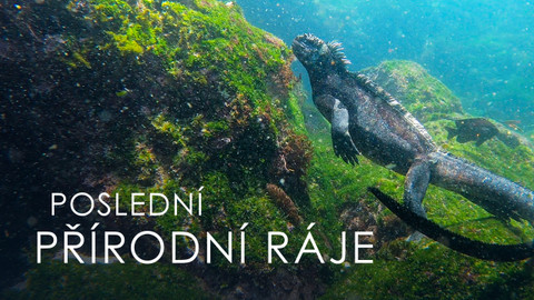 Poslední přírodní ráje