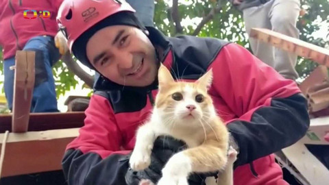 Zprávičky - 12. února 2023