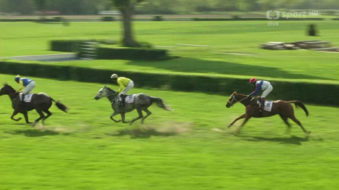 Dostihy - Úvodní cross country Koroka