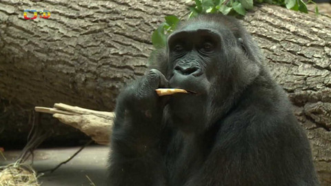 Zprávičky - 28. září 2022