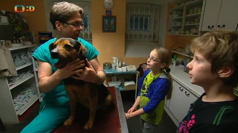 Náš zvěřinec - Šediváčkův long