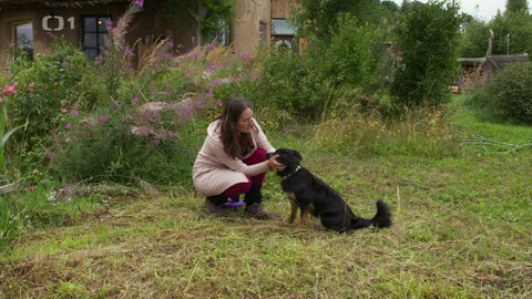 Kočka není pes - Útočná Grace a agresivní Frída