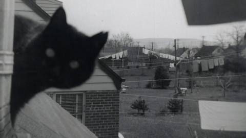 Fotografie - 9/12 Nalezené obrázky