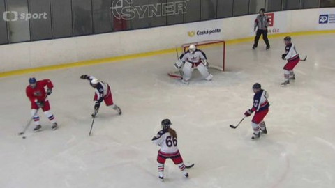 Hokej - Policejní MS v ledním hokeji 2015 Liberec