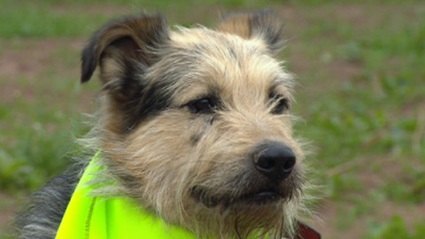 Chcete mě? - Chcete je?