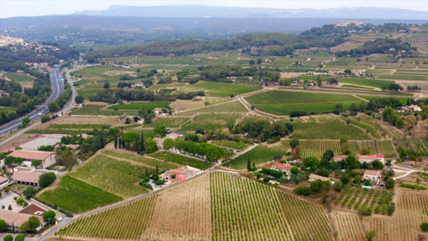 Milovníci vína - 3/12 Růžové okouzlení