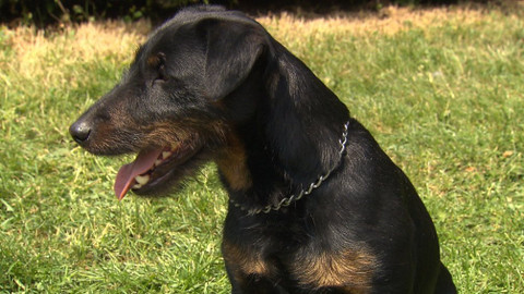 Chcete mě? - 16. prosince 2018