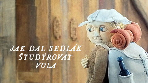 Jak dal sedlák študýrovat vola