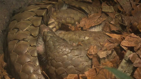 90’ ČT24 - 90′ ČT24