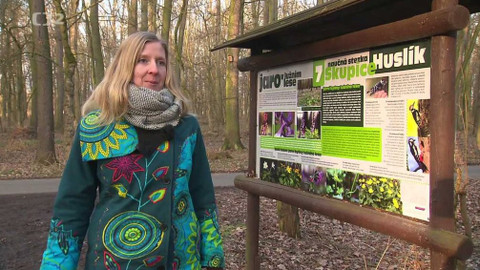 Nedej se! - Pomáhají v lužním lese