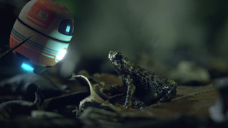 Andy a cesta kolem světa