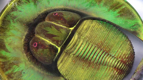 Toulavá kamera - 26. října