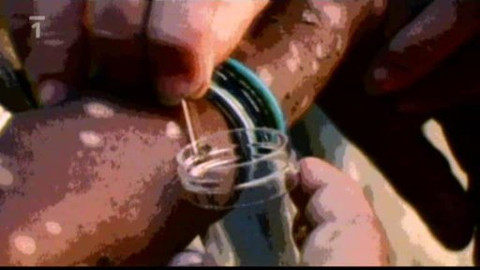 Kaleidoskop - 11. dubna 2010