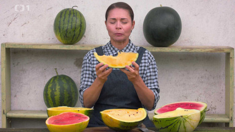 Herbář - 24. listopadu 2024