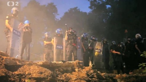 Nedej se! - Začalo to stromy