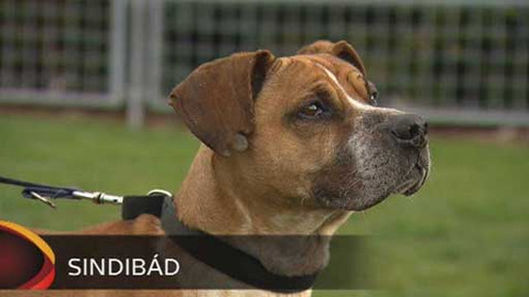 Chcete mě? - Chcete je?