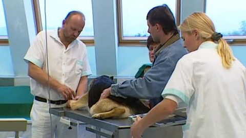 Náš venkov - Zvěrolékař pod horami