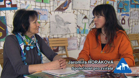 Chcete mě? - 3. dubna 2011