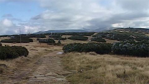 Toulavá kamera - 18. listopadu 2012