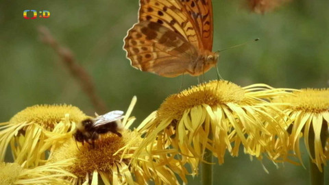 Terčin zvířecí svět - 28. října 2022