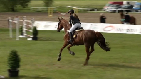 Jezdectví - Velká cena Ostravy