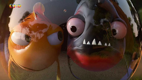 Esa z pralesa - 43/52 Akvárium pro dva