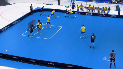 Olympiáda dětí a mládeže - ODM: Florbal