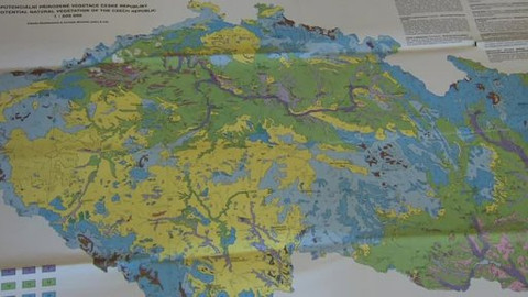 Nedej se! - Plagiát