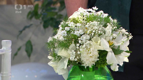 Sama doma - 13. února