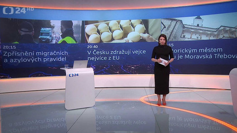 90’ ČT24 - Spor o změny azylových pravidel