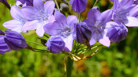 Polopatě - 25. května