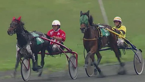 Jezdectví - Memoriál Václava Dohalského