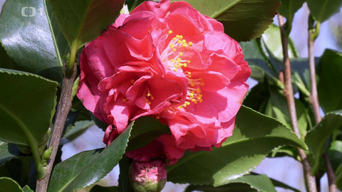 Polopatě - 18. května