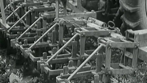 Archiv ČT24 - Za vyšší výnosy a přírůstky