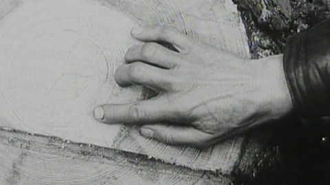 Historie.cs - Konec západní civilizace