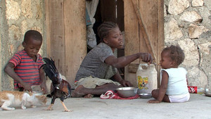 Obrázek pořadu Haiti bez naděje?