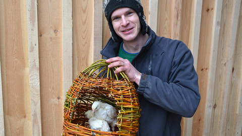 Malá farma - Kuře v kukani